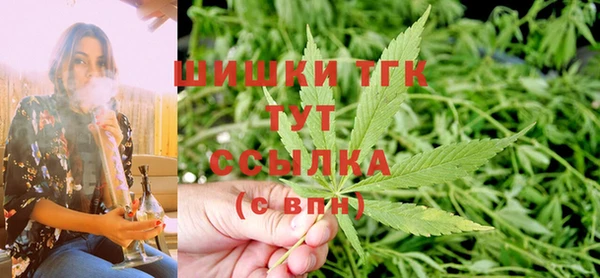 PSILOCYBIN Новозыбков
